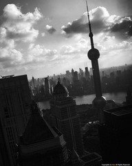 IMG_6772.jpg