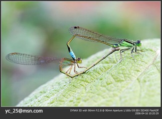 PICT0025