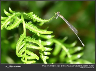 PICT0036
