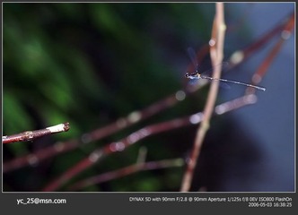 PICT0051 拷贝