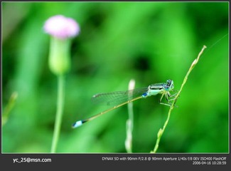 PICT0059