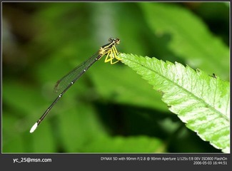 PICT0062