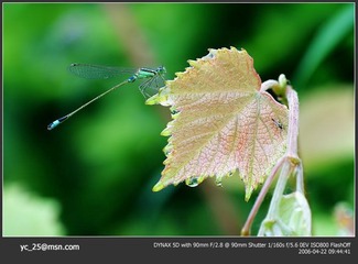 PICT00121