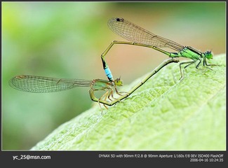PICT00391