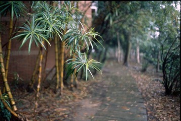 Batch Pict0007.jpg