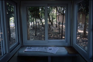 Batch Pict0010.jpg