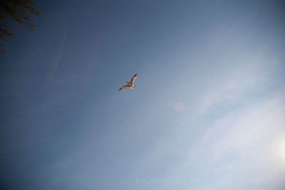 Sky<br />
