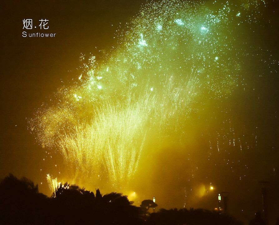 光影印象 烟花<br />
停了最美的一瞬间