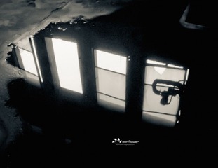 IMG_5163-编辑-编辑.jpg