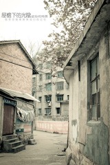 03.jpg