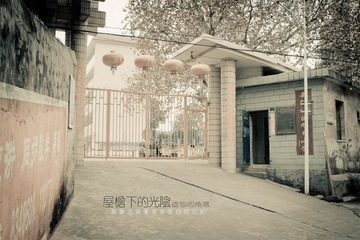 04.jpg