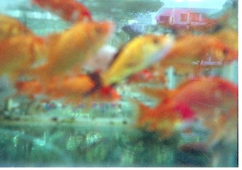 Scan-120929-0075.jpg