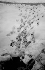 20130219-_KID8814.jpg