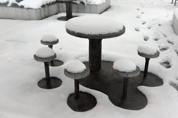 20130219-_KID8823.jpg