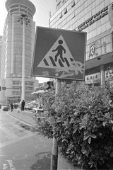Scan-130429-0013.jpg
