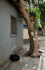 20130528-_KID9860.jpg