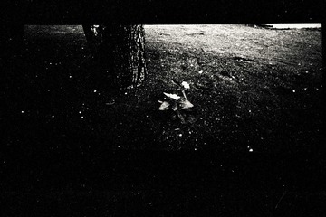 Scan-130116-0008-7.jpg