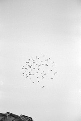 Scan-131211-0082-12