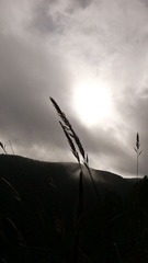P1100143-1.jpg