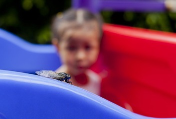 IMG_1446.jpg