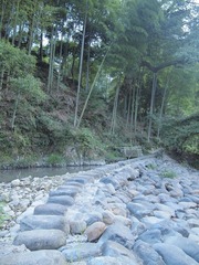 P9151726.jpg