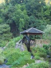 P9151764.jpg