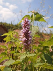 P9272120.jpg