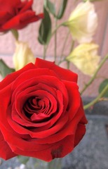 PA282429.jpg