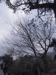 P1012978.JPG