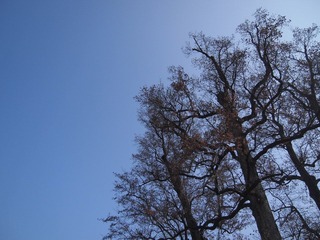 P1012997.JPG