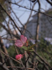 P1023142.JPG