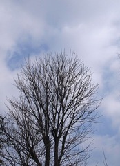 P1253382.jpg