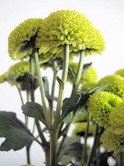PB212551.jpg