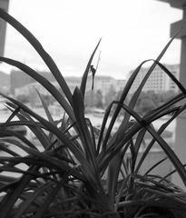 PC012574.jpg