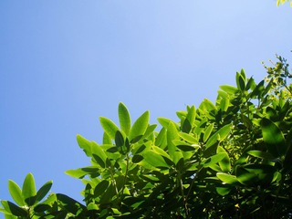 P7087465-87.jpg