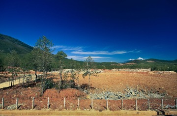 IMG_2616-1