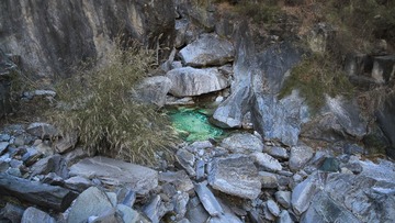 IMG_2864-1