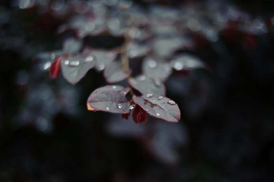 003<br />

