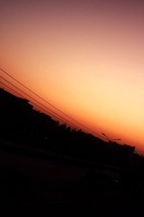 IMG_49971.JPG