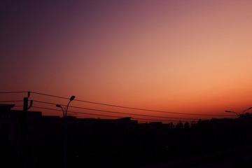 IMG_49931.JPG