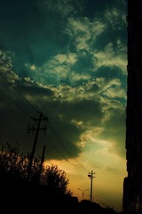 IMG_4434.JPG