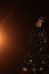 IMG_5151.JPG