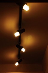 IMG_5142.JPG