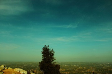 IMG_5633.JPG
