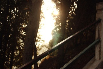 DPP_0098.JPG