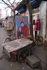 R1012684.JPG