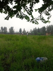 IMAG0018.jpg