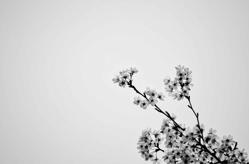 20120330-4