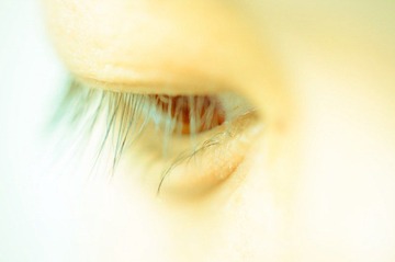 DSC_8822 (800x530).jpg