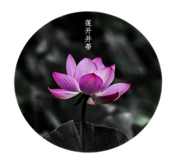 DSC_8200_副本.jpg